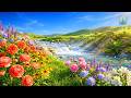 (No Ads) Beautiful Spring Melodies 🌿 Relaxing Music for Soul Peace and Mind Calm