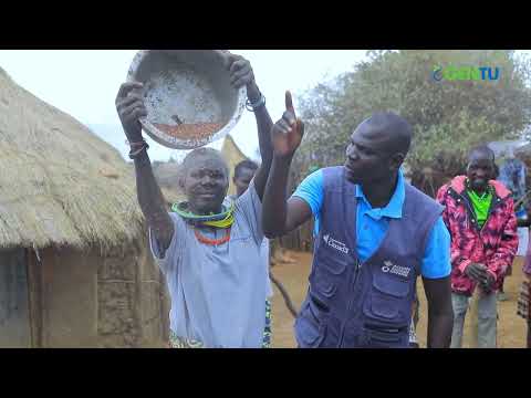 Food Security and Livelihoods