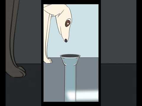 Let Me Do It For You Meme Borzoi Shorts Memes Dog