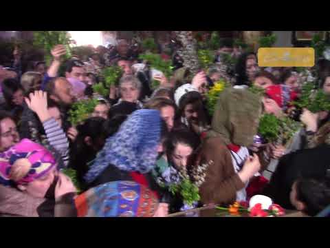 ბზობა ზუგდიდში