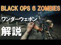 【BO6】ワンダーウェポン 作成方法解説 ターミナス BLACK OPS 6 ZOMBIES