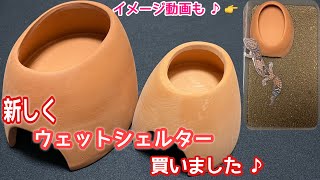 STAGE223回目2022年9回目ゆ〜ちゃんねるTV【〜ウェットシェルター編〜久しぶりにシェルターを買いました編〜】