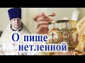 О пище нетленной. Проповедь священника Димитрия Лушникова.