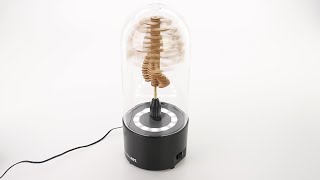 Playable Art Automatic Motorized Display For Helicone Lollipopter