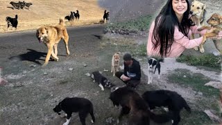 :    .