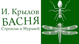 И. Крылов | Стрекоза и Муравей