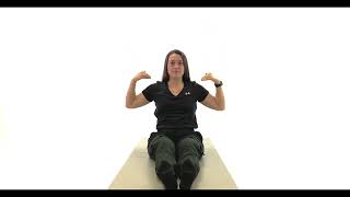 Vertical Shoulder Taps Exercise