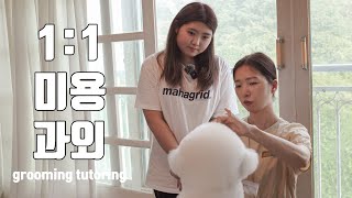 How much is the tutoring fee... ? OMG (Free) | Shu and Tree is Coming [Ep.5]