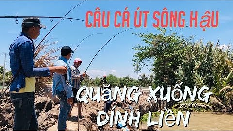 Thú Vui Dân Dã | Câu Cá Trên Sông Hậu | Cù Lao Dung | Cuộc Sống Ở Đảo