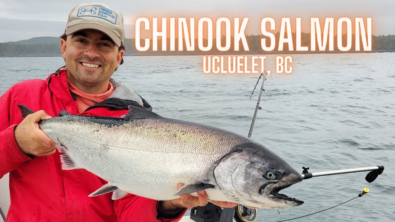 How to Catch Chinook Salmon - Ucluelet British Columbia - YouTube