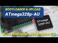 Bootloader and upload to Atmega328P-AU