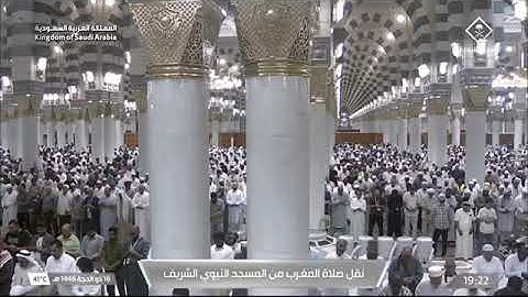 صلاة المغرب لفضيلة الشيخ أ.د. #محمد_برهجي يوم الخميس 16 ذو الحجة 1446هـ أواخر سورة الزمر.