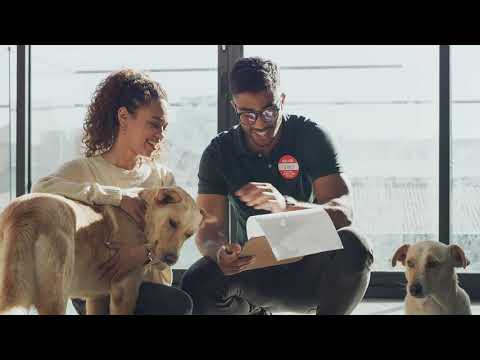 objetivo deste infoproduto é capacitar tutores de cães a fornecerem uma alimentação saudável