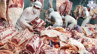 Amazing speed! Super-speed cow deboning plant / Korean food factory