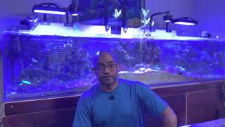 Five years later, I revisited my worst reef keeping advice. This is what I found.