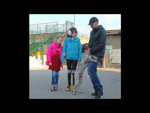 Tamaz Elizbarashvili dog shelter 2015 2016 funny moments // 21 იანვარი 2016