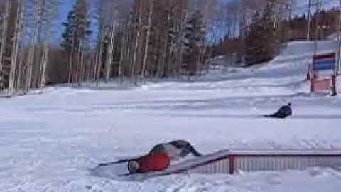 My Snowboarding Skillz Reversed