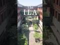 The ILA in 30 seconds | #Shorts
