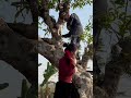 đi mua cây cảnh gặp chủ nhà hói