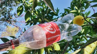 Easy make a fruit picker bottle | How to make fruit picker