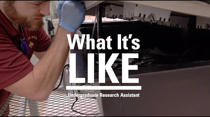 What It's Like: Undergraduate Research Assistant