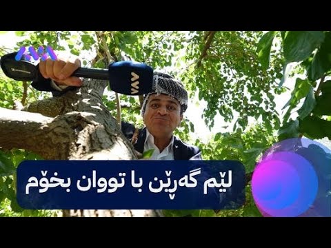 خزمانی گوند رەسووکەیان لێ ونبووە و دواتر لەسەر دارتوویەک دەیدۆزنەوە ...