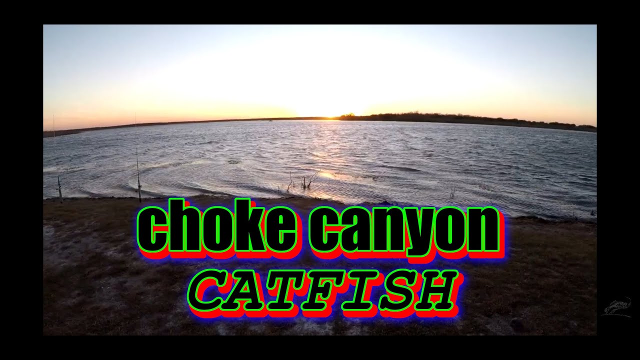 Cold Front Catfish at Choke Canyon Reservoir YouTube