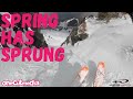 Spring has Sprung at WhistlerBlackcomb  onecutmedia