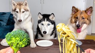Funny Dog Reaction to Vegetables! Husky Tasting Different Foods