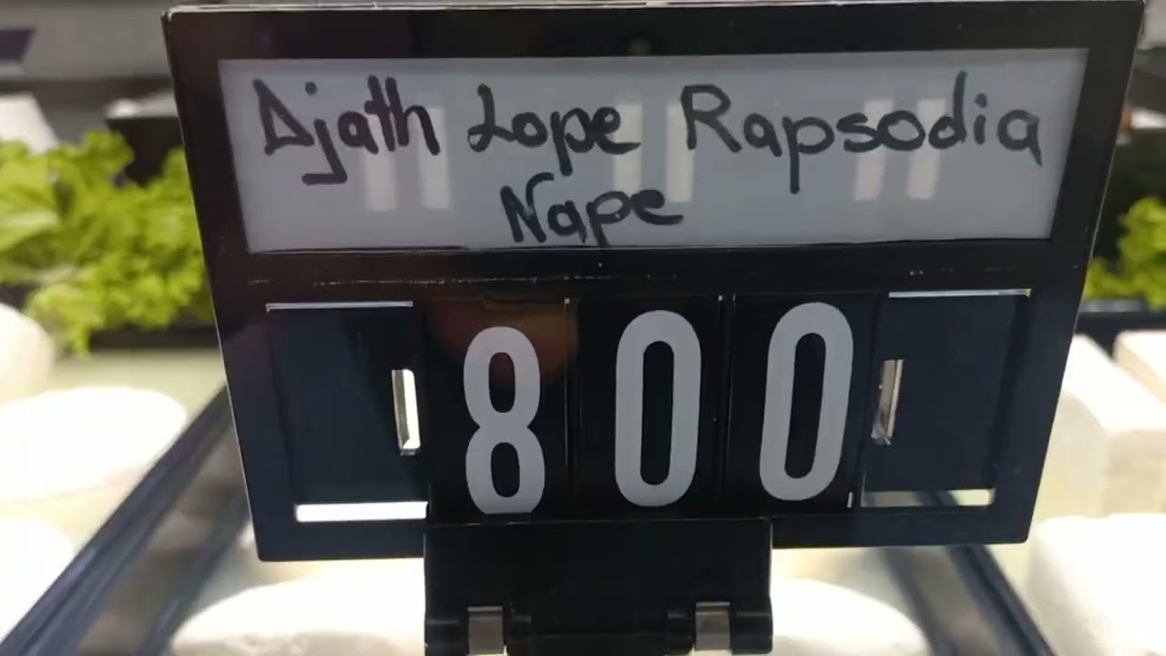 Christmas Grocery PRICES in Albania 2025! 🎄 Full Tour of HASO Hypermarket Vlorë | Wine, Meat, Drink