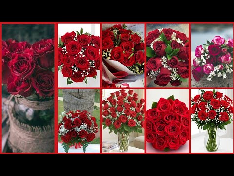 Video: Što Simbolizira Buket Od 5 Crvenih Ruža