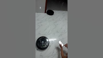 Robot lau nhà hút bụi KUR6612