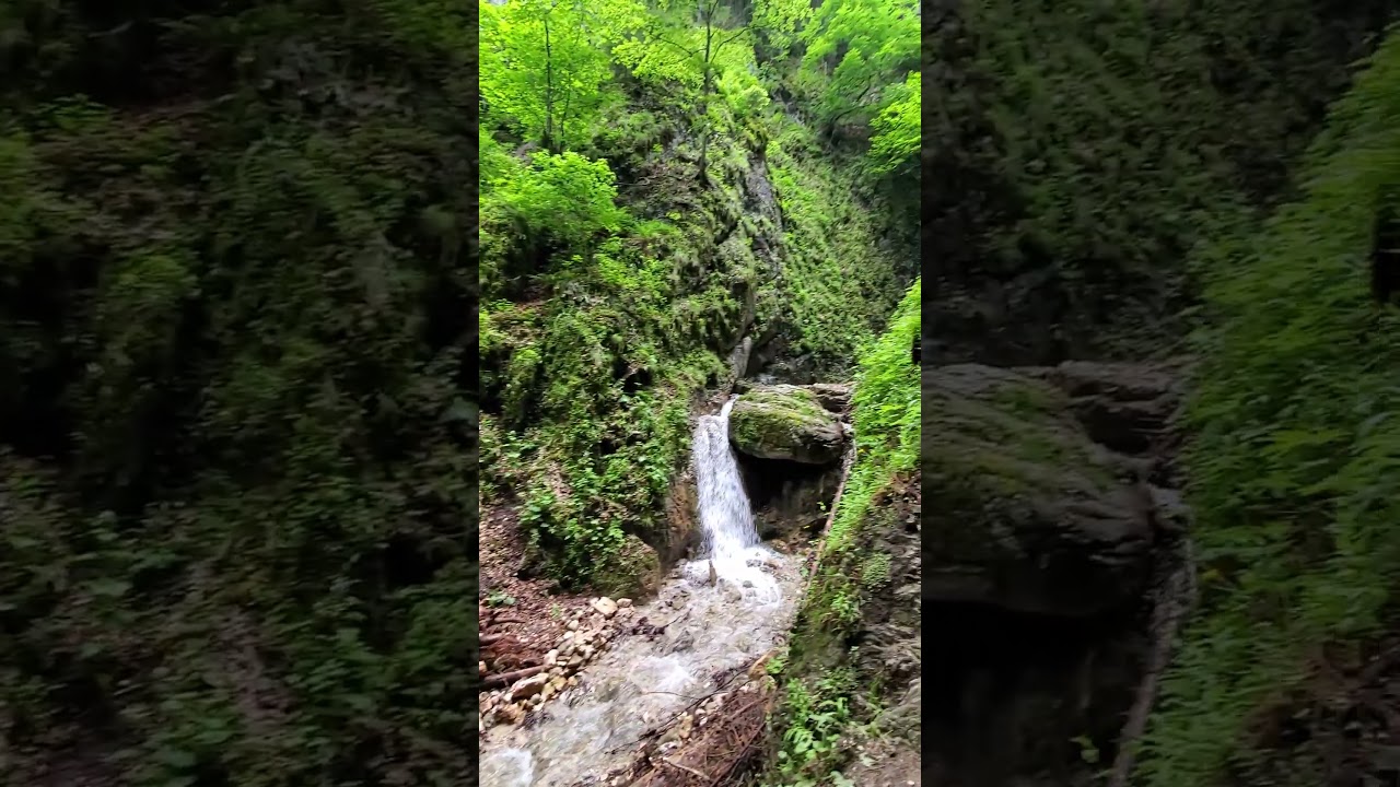 Exploring Romania's Majestic Trails: A Hiker's Paradise 🌄 