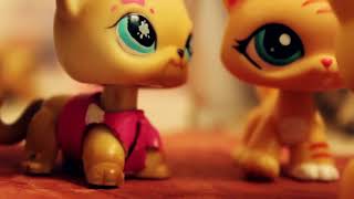 ~LPS сериал: Конный спорт 6 серия/Equestrian sport 6 episode~ ~LPS сериал: Конный спорт 6 серия/Equestrian sport 6 episode~