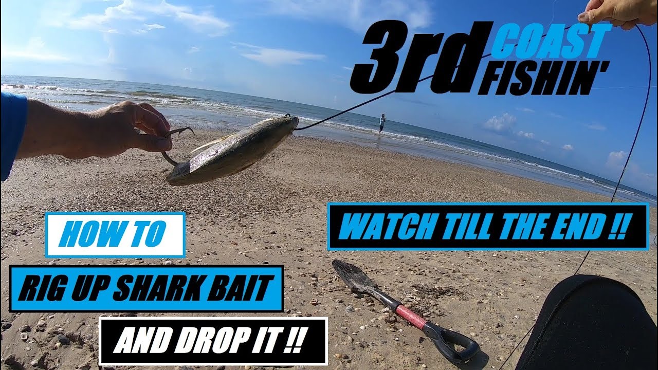 HOW TO HOOK OR RIG BAIT FOR SHARK FISHING