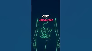 5 Foods To Fix Your Gut Health (Dietitian Approved)