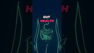 5 Foods To Fix Your Gut Health (Dietitian Approved)