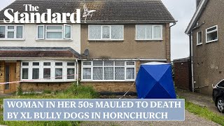 Woman mauled to death by her two XL bully dogs in Hornchurch