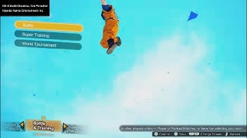 I can’t play with my friends on sparking zero