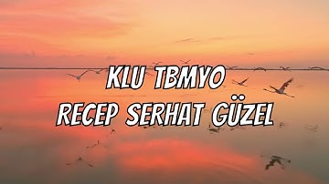 Görsel Programlama 2 Access Veri Tabanı Ödevi Kod Çalıştırma