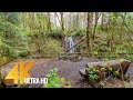 Forest Waterfall 4K 60fps - 3HOUR Relaxing Waterfall Sounds with Birds Chirping - Water Relaxation