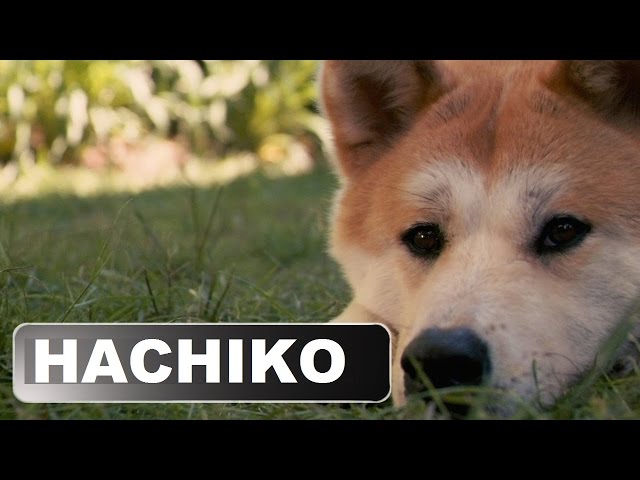 Cheat Skill Ending Full by Shikao Suga - Isekai De Hachimitsu — Eightify