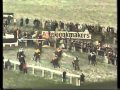 The thinker the 1987 cheltenham gold cup