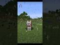 #minecraft dog power 💪✨ like man 💪