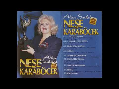 Neşe Karaböcek - Altın Şarkılar 2 (full albüm)