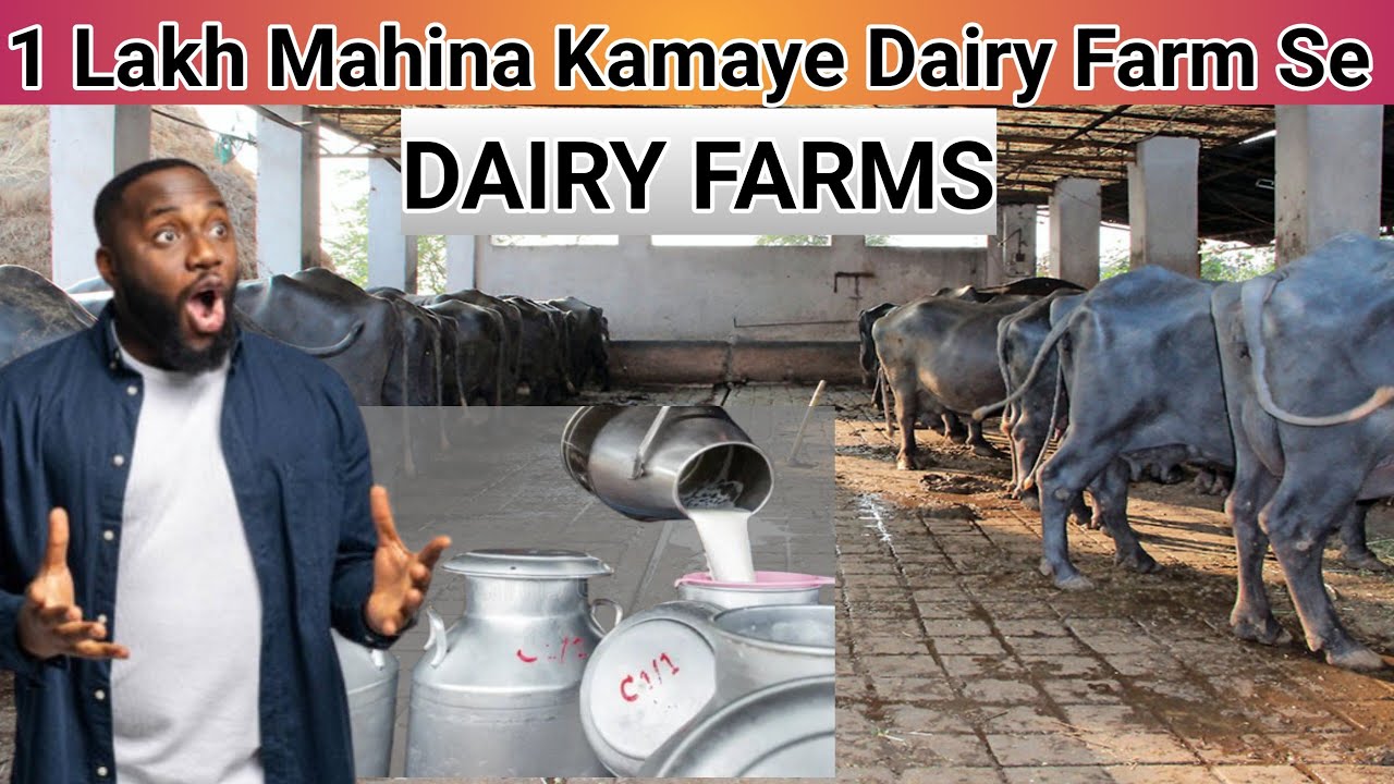 Cow & Buffalo Dairy Business Se Paise Kaise Kamaye।₹1 Lakh Mahina Kamaye Dairy Farm Se |  Guide 2025