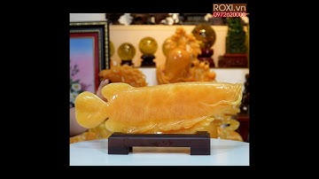 17 Cá Rồng Ngọc Hoàng Long 3,35kg