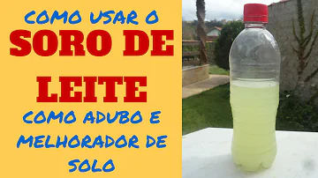 Como usar o soro do kefir nas plantas?