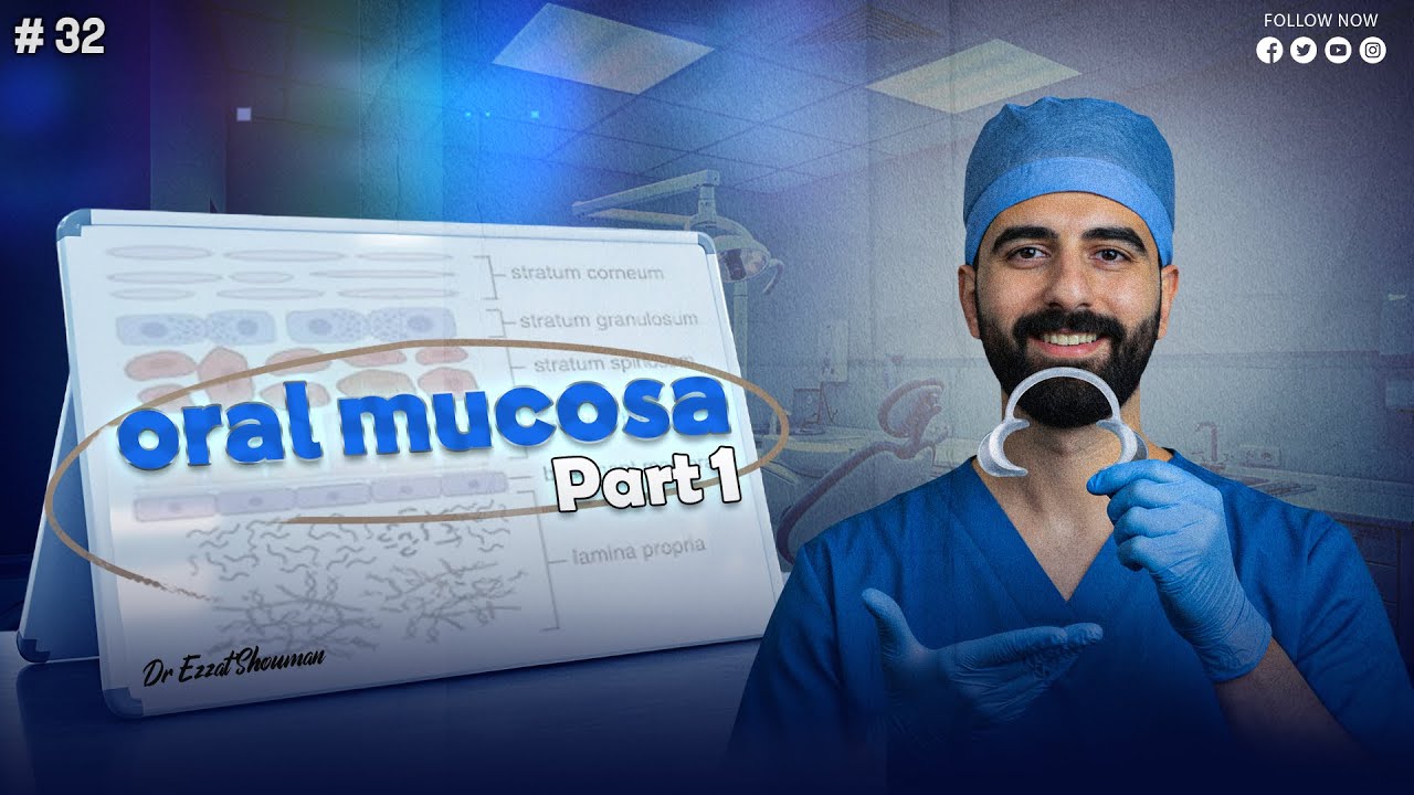 oral mucosa 1 _ oral histology || عزت شومان