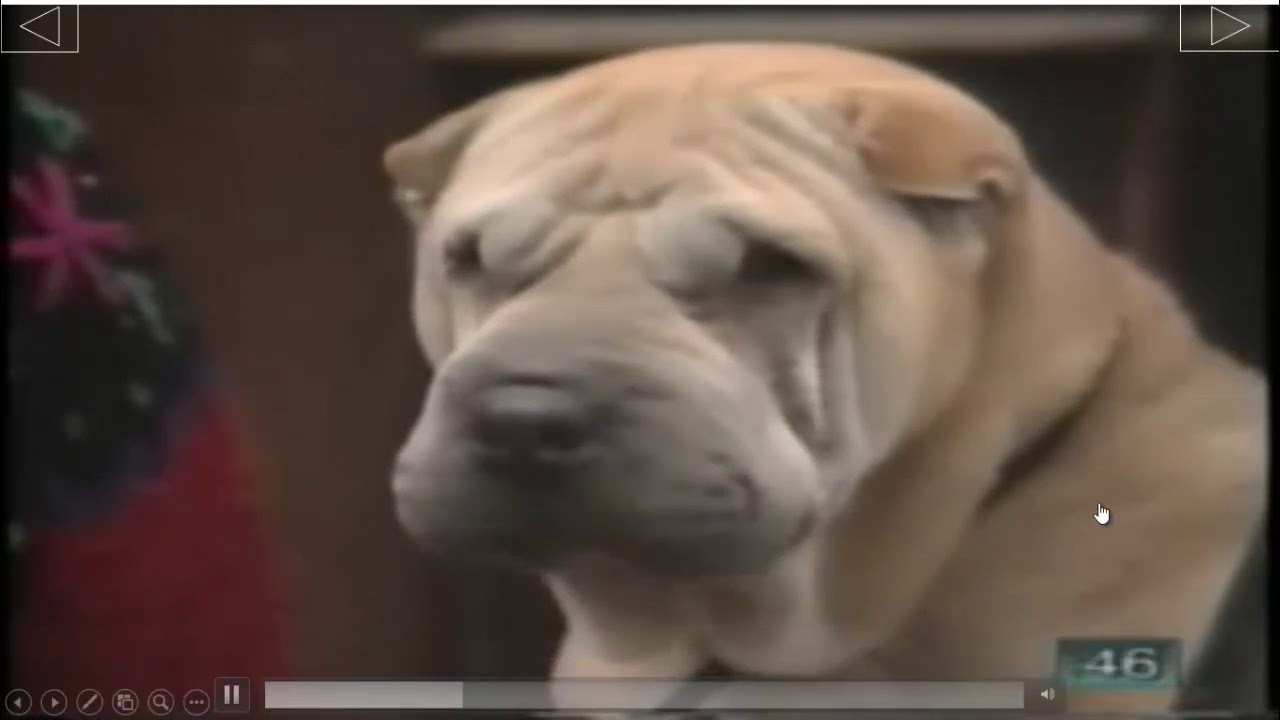 АНГЛИИ БОК О БОК КНИГА 2 ГЛАВА 1